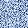 6/0 Glass Seed Beads SEED-L011-08A-23-3