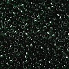 Transparent Colours Glass Round Seed Beads SEED-B001-06A-10-3