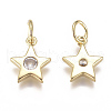 Brass Micro Pave Cubic Zirconia Charms X-ZIRC-F111-09G-08-2