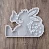 Easter Rabbit DIY Silicone Molds SIMO-H024-01B-2