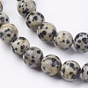 Natural Dalmatian Jasper Stone Bead Strands X-G-R193-14-8mm-3