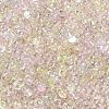 AB Color Plated Glass Seed Beads SEED-L011-06B-02-3