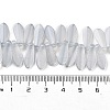 Electroplate Glass Beads Strands EGLA-C005-01A-PL01-4