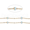 Ion Plating(IP) Stainless Steel Satellite Chains CHS-I006-03G-C-1