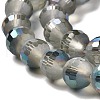 Electroplate Glass Beads Strands EGLA-Z001-03A-HP01-3