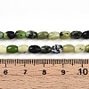 Natural Serpentine Beads Strands G-N346-02A-04-5