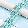 Natural Amazonite Beads Strands X-G-P500-01B-01-2