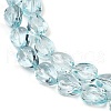 Transparent Glass Beads Strands GLAA-H038-03C-3