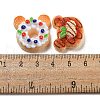 Imitation Food Resin Decoden Cabochons X-CRES-R199-04-3