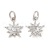 Rack Plating Brass Micro Pave Clear Cubic Zirconia Charms X-KK-Z026-06P-1