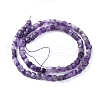 Natural Amethyst Beads Strands G-L537-001-3