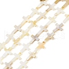 Natural Freshwater Shell Beads Strands BSHE-G036-05B-1