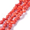 Natural Magnesite Beads Strands TURQ-P001-02A-10-1