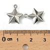 304 Stainless Steel Charms. Star Charm STAS-A190-05P-3