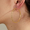 Simple Stainless Steel Hoop Earrings TR8075-1
