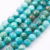 Natural Magnesite Beads Strands TURQ-P027-80-3mm-1