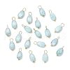 20Pcs Opaque Baking Painted Crackle Glass Charms PALLOY-JF03952-01-1