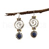 Alloy Natural Lapis Lazuli Dangle Earrings FS-WGF13EE-01-3