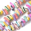 Dyed Natural Trochus Shell Beads Strands SSHEL-C013-09G-1