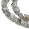 Natural Labradorite Beads Strands G-K359-B17-01-4
