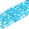 Dyed Natural Trochid Shell/Trochus Shell Beads Strands SSHEL-T017-13B-1