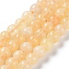 Dyed Natural Malaysia Jade Beads Strands G-G021-02A-11-2