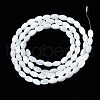 Natural Trochid Shell/Trochus Shell Beads Strands X-SSHEL-S266-021A-01-2