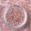 Glass Seed Beads X1-SEED-S042-04A-04-2