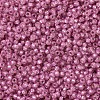 MIYUKI Round Rocailles Beads SEED-G007-RR0645-3