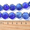 Glass Beads Strands G-B136-C01-3