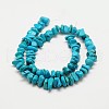 Chips Natural Magnesite Beads Strands G-N0132-05-2