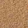 MIYUKI Round Rocailles Beads SEED-X0056-RR0161-3