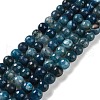Natural Agate Beads Strands G-M437-C01-01B-2