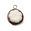 Brass Acrylic Pendants OACR-R006-01G-08-1