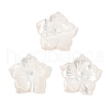 Natural White Shell Carved Beads SSHEL-I026-12E-06-1