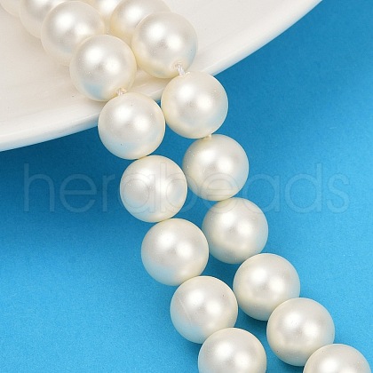 Shell Pearl Beads Strands BSHE-XCP0001-47-1