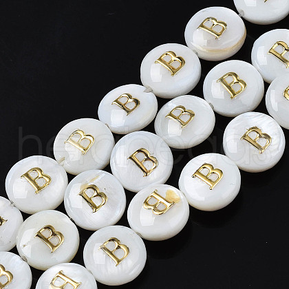 Natural Freshwater Shell Beads SHEL-S276-168B-1