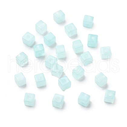 Transparent Acrylic Beads OACR-H044-04A-02-1