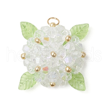 Glass Pendants PALLOY-MZ00711-02-1