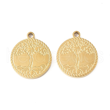 304 Stainless Steel Pendants STAS-R168-13G-1