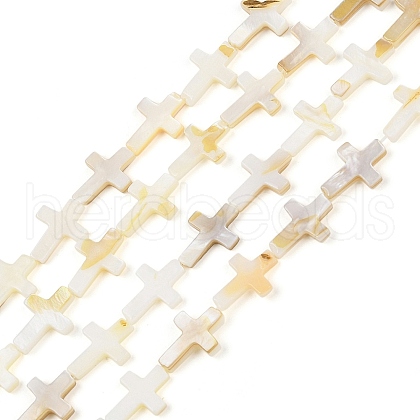 Natural Freshwater Shell Beads Strands BSHE-G036-05B-1