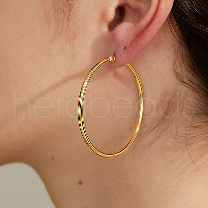 Simple Stainless Steel Hoop Earrings TR8075-1