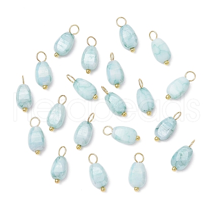 20Pcs Opaque Baking Painted Crackle Glass Charms PALLOY-JF03952-01-1