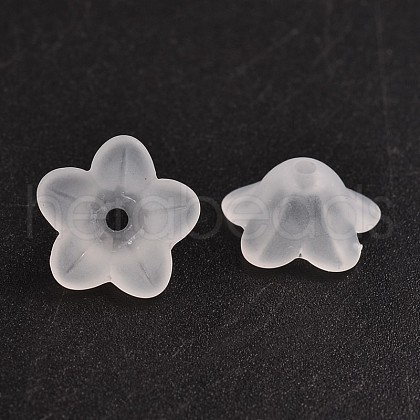 Transparent Acrylic Beads PL560-1