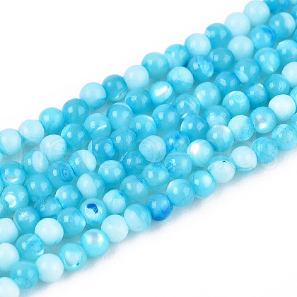 Dyed Natural Trochid Shell/Trochus Shell Beads Strands SSHEL-T017-13B-1