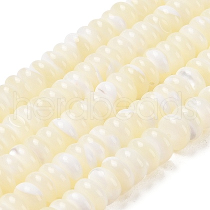 Natural Trochus Shell Beads Strands SHEL-P017-06-1