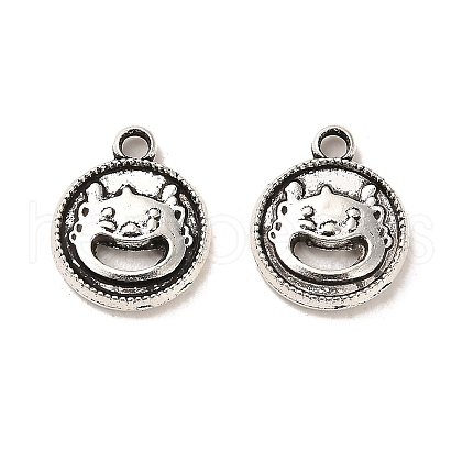 Tibetan Style Alloy Charmss FIND-C043-037AS-1