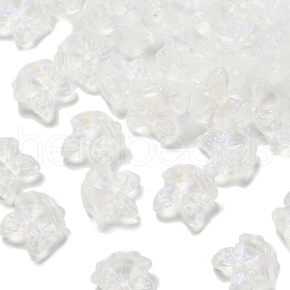 Transparent Acrylic Beads MACR-K359-31-1