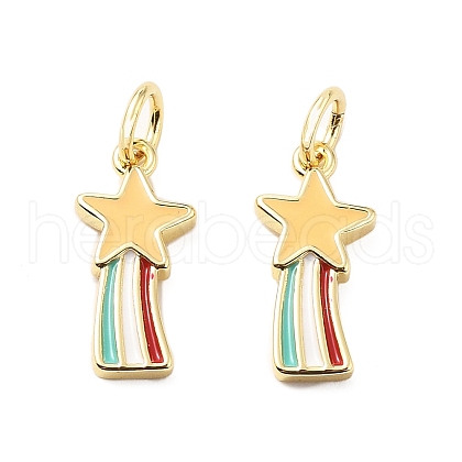 Brass Enamel Charms KK-L237-028G-05-1
