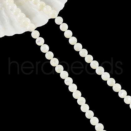 Natural Trochid Shell/Trochus Shell Beads Strands SHEL-WH0001-008-1